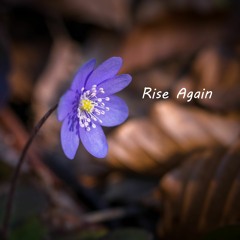 Rise Again