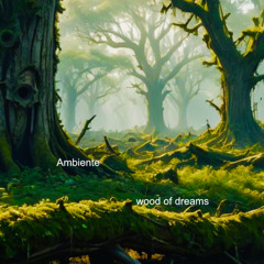 wood of dreams