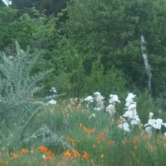 fuse ( the center does not hold - it falls apart in the middle )