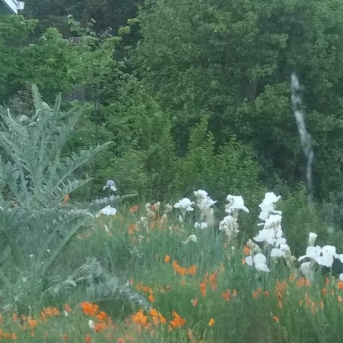 fuse ( the center does not hold - it falls apart in the middle )