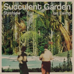 Strehlow - Succulent Garden (out via Noh Life)