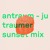 Artwork for antraum - ju  (traumer sunset mix)