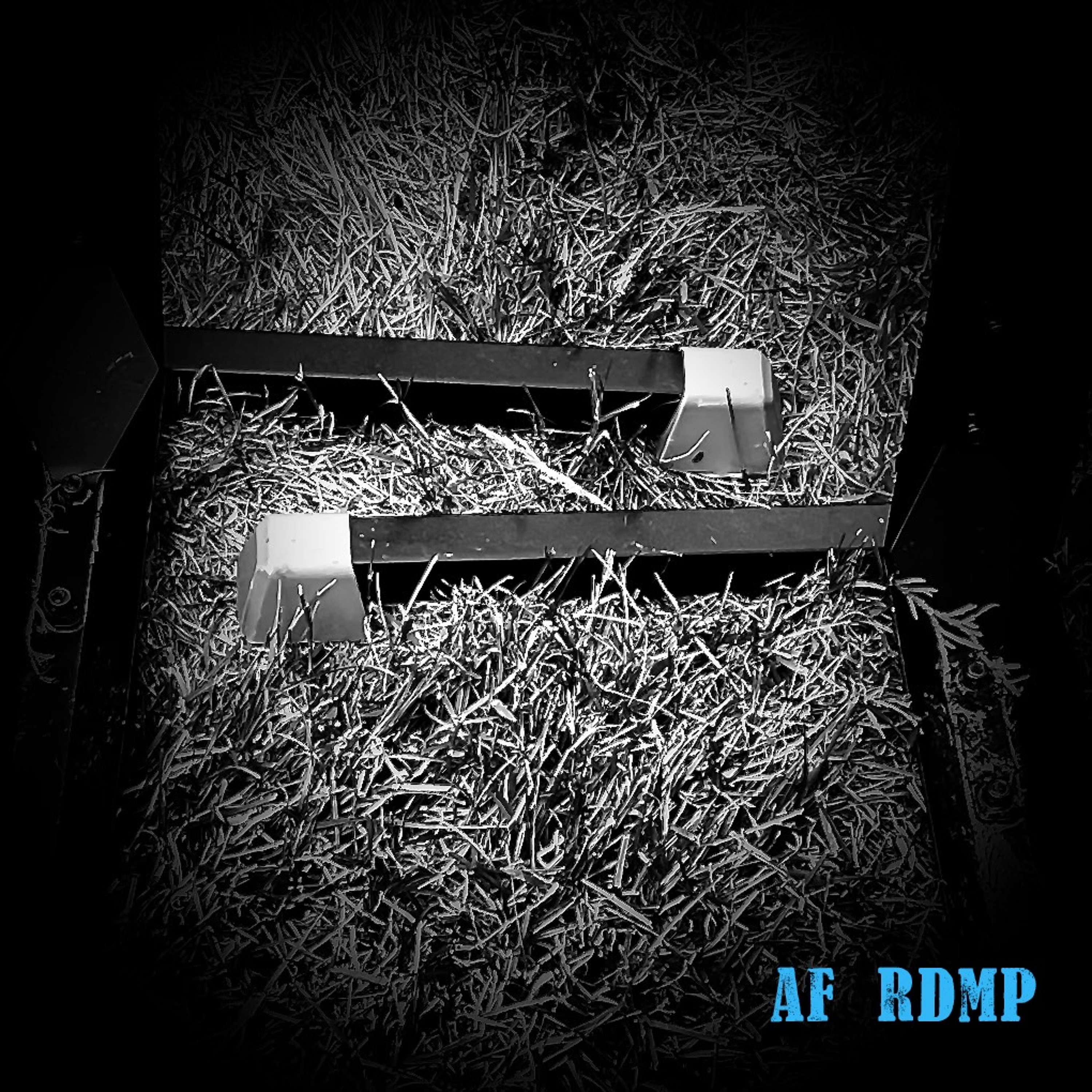 AF RDMP episode artwork