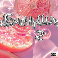 #Epiphyllum 02 -HappyBirthdayToNger(29/03) -Vietmix by Nger