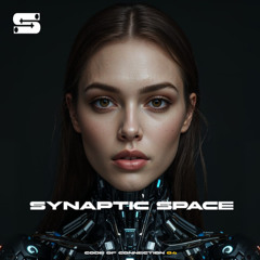 Synaptic Space Code of Connection 04