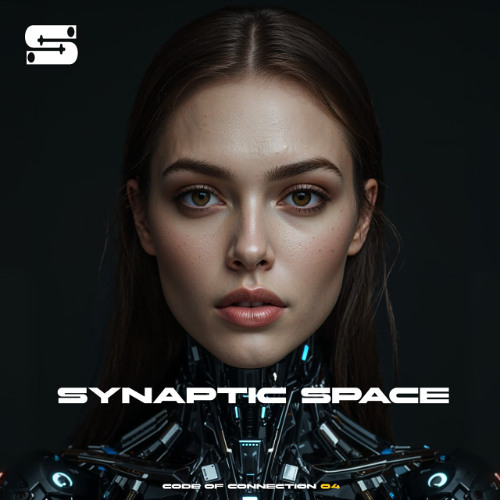 Synaptic Space Code of Connection 04