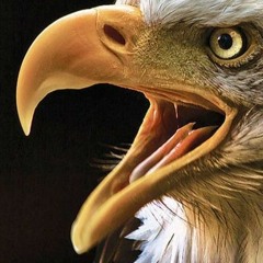 Atmósfera En Cólera [2020]