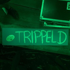 TRIPPEL D @ LandgutX Festival 2024