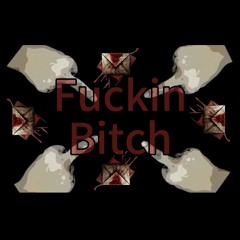 F××kin Bitch(prod by ironstone200000)