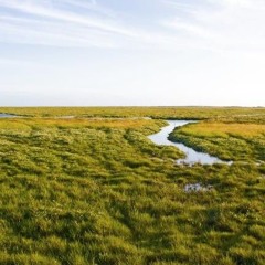 Karkpolder.wav