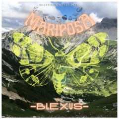 Blexus | Mariposa #7