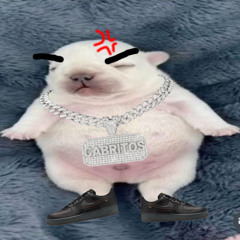 wash my belly wash my dick