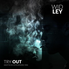 Wid Ley - Try Out (Deep In Mu Atmospheric Mix)