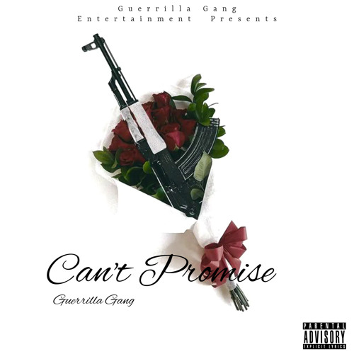 Can’t Promise .m4a