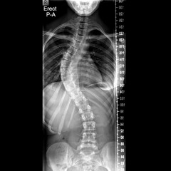 FUCK MY SPINE UP MIX