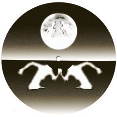 PREMIERE : Torn Hawk - Dirty Black Satin (Fixed Rhythms)