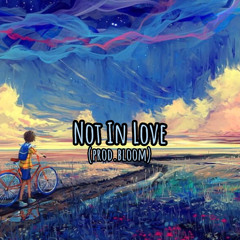Not In Love (prod.bloom)
