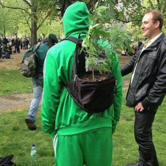 Trippie Flameboy - Jah! (2021)