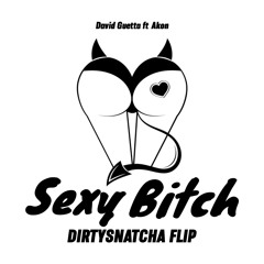 David Guetta Ft Akon - Sexy Bitch (DirtySnatcha Flip)