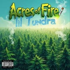 Acres of Fire