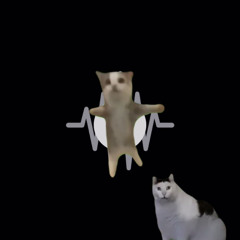 全ての猫に感謝(prod.Cal Rouge)