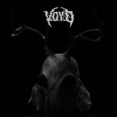 VOYD - ID (i am the face of many shadows)