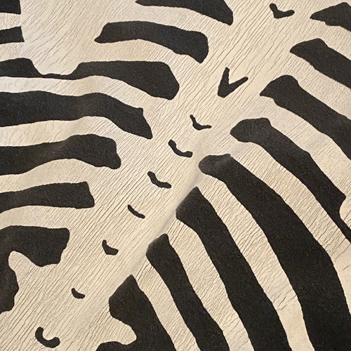 1oneam - tahoe z (prod. shayne)