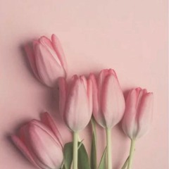 Rather Be Kissing You by Alex G (Cover)