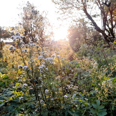 29.09.2025 - Cap. XXIV - Não Coloqueis a Candeia Sob o Alqueire (8)