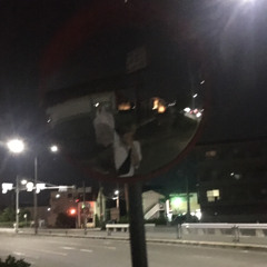 だいすき