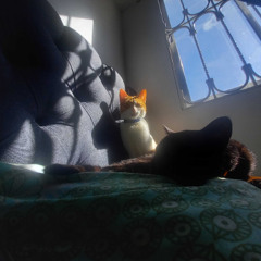 willy rodriguez - ♥ (deivid tovar cover)