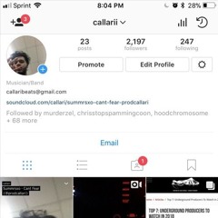 paint pitched up (david shawty & callari)