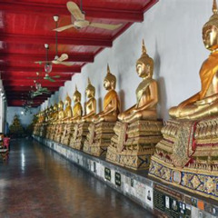 Review Special Price Meditation Class At Wat Mahathat Temple In Bangkok