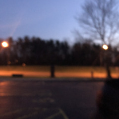 all over the place (literally)