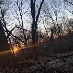 winter beat clips 2024 (reup)