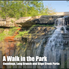 A Walk in the Park