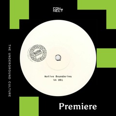 PREMIERE: HeartWerk - Deep Thoughts In VIP [Native Boundaries]