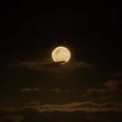 Night Time 🌕💛🤍🖤