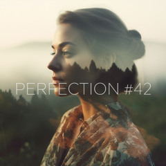 PERFECTION #42