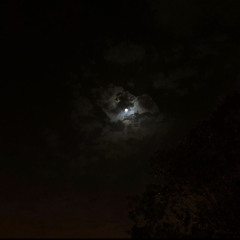 (يامَعشر اللي على ضُوء القمر ساهرين)