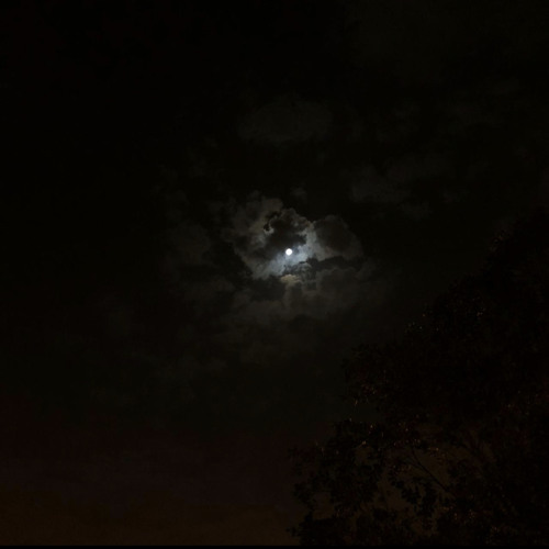 (يامَعشر اللي على ضُوء القمر ساهرين)