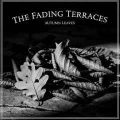 Autumn leaves