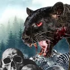 BLACK CAT DEMO.wav