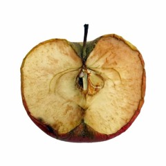 [mix] Decaying Apples (썩는 사과)