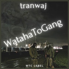 tranwaj - WatahaToGang (KEIN SCHLAF remix)