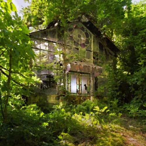 SpaceKraft - Forensic Flies