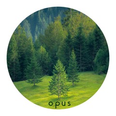 PREMIERE: Gaviño - Play Me [OPUS007]