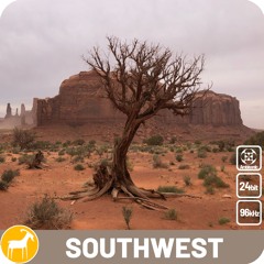 USA Southwest