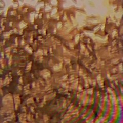 rosie - social stamina remix (by braxo&desolate)