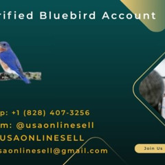 Buy Verified Bluebird Account